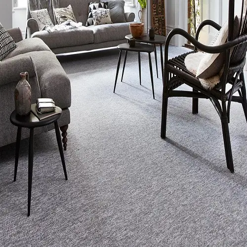 Wall To Wall Carpet